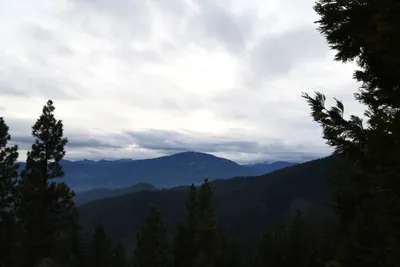 DSC_0060 (Large).JPG